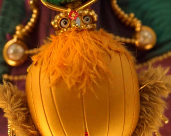 Whimsical Creature with Orange Fluffy Body and Shell