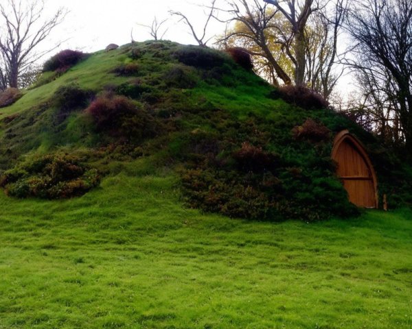 Lush Green Hill with Purple Heather and Hidden Door