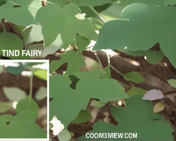 Close-Up of Textured Green Leaves and Patterns
