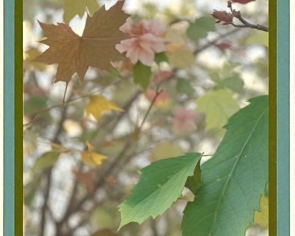 Vibrant Leaves and Blossoms in Soft Natural Light