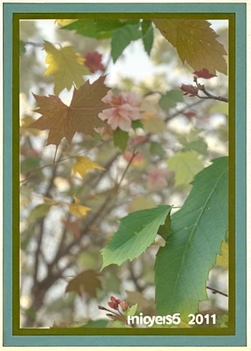 Vibrant Leaves and Blossoms in Soft Natural Light