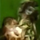 Blurred Figure Against Rich Green Background in Impressionism
