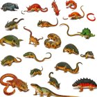 Diverse Collection of Colorful Lizards and Reptiles