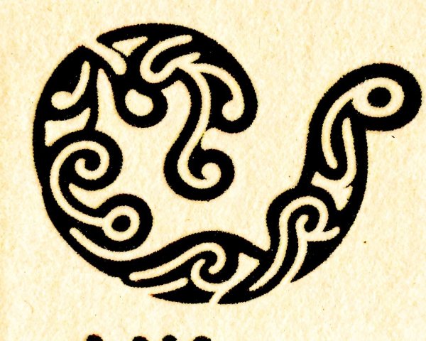 Minimalistic Black and White Maori Koru Vector Art