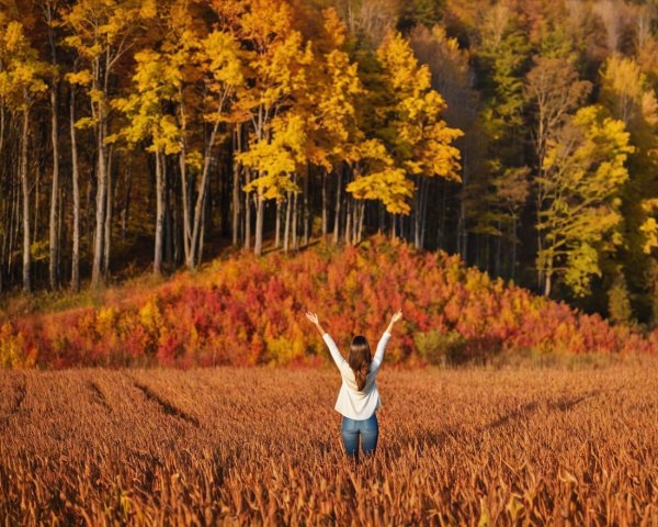 Young Woman Celebrating in Autumn Field Landscape
