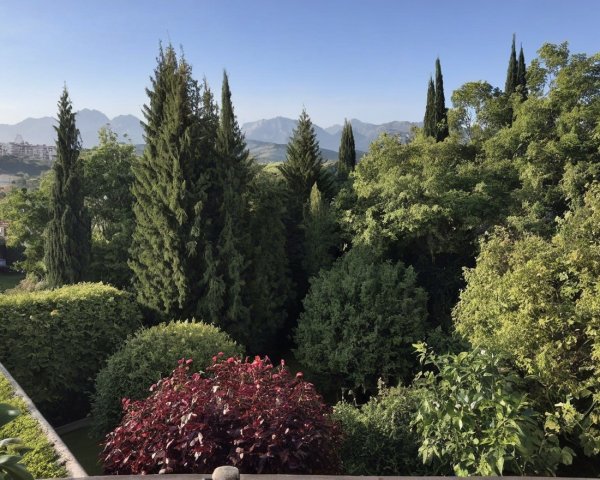Lush Green Landscape with Burgundy Bush and Mountains