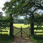 Ornate Wrought-Iron Gate Framed by Lush Trees