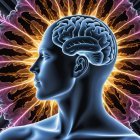 Stylized Human Head Profile with Colorful Brain Design