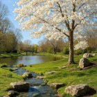 Serene lake view with autumn foliage and cliffs
