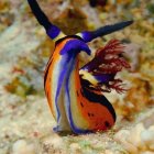 Abstract Painting of a Vibrant Fish and Water Lilies