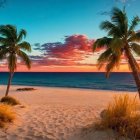 Serene Beach Sunset with Palm Trees and Ocean View