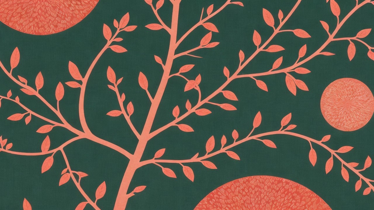 A Seed's a Star/Tree Medley