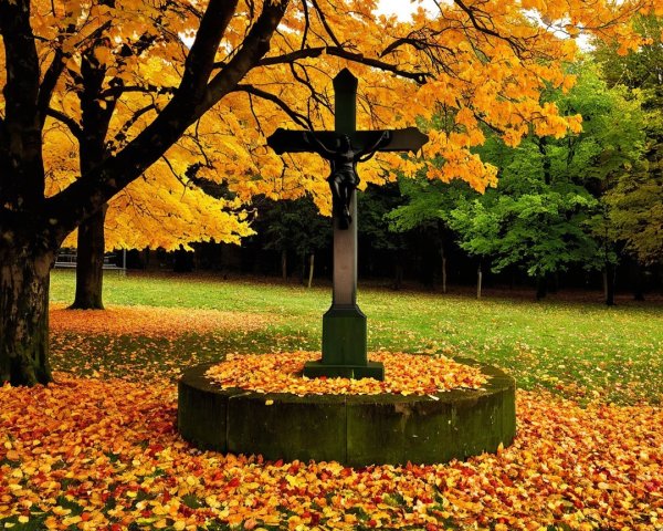 Black Crucifix Surrounded by Autumn Leaves and Trees