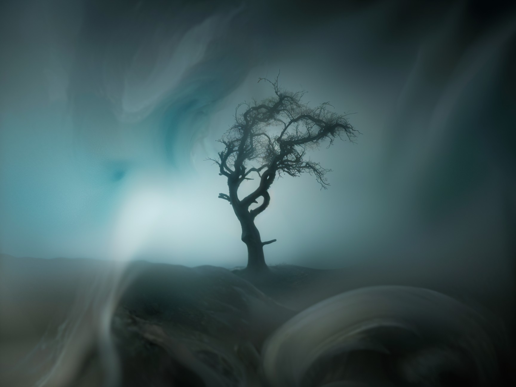 Solitary Twisted Tree in Misty Ethereal Landscape