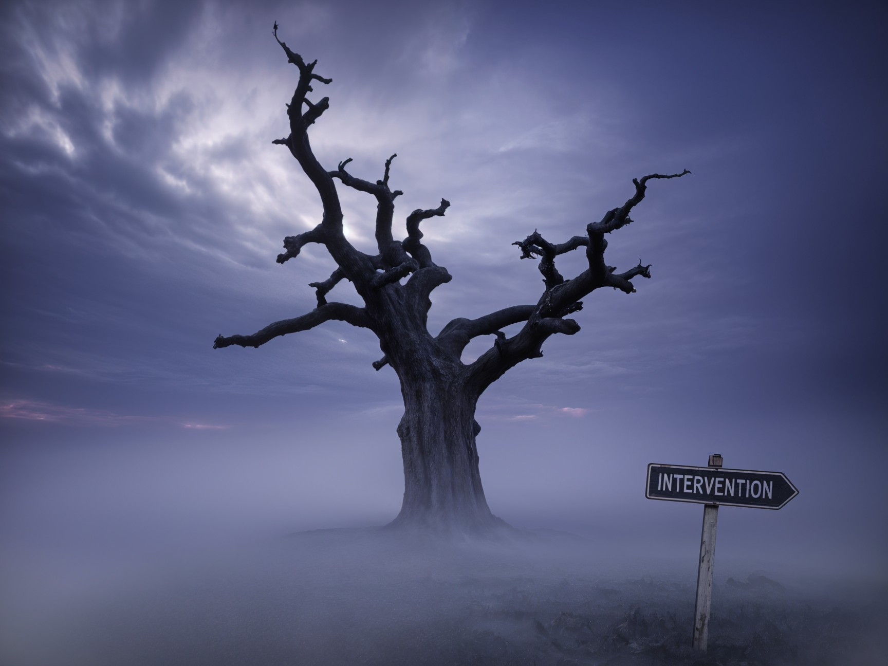 Gnarled tree in misty landscape with dark clouds