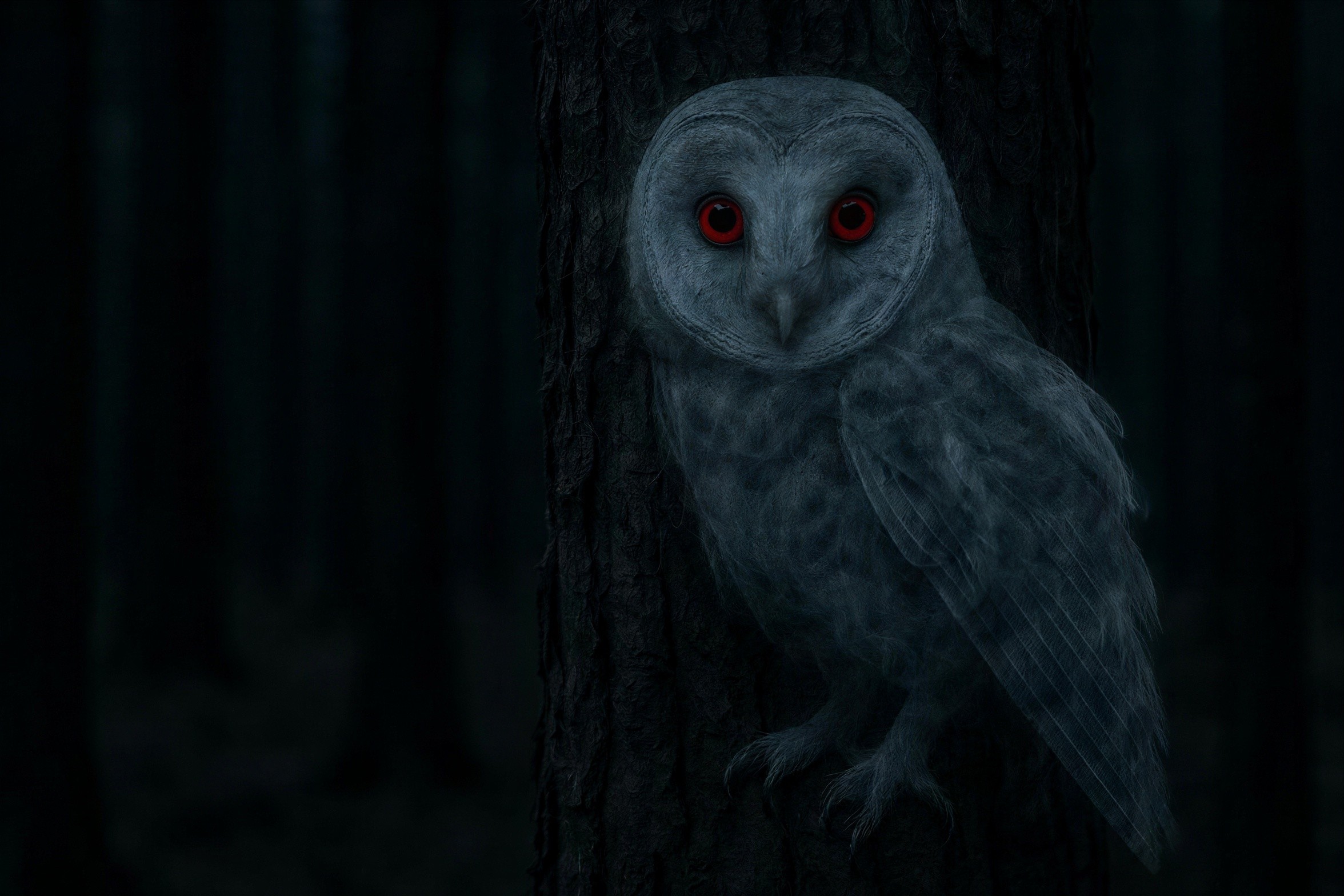 Digital painting of a ghost owl in a dark forest