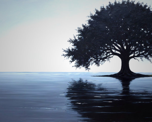 Solitary Tree Reflected in Calm Water Landscape