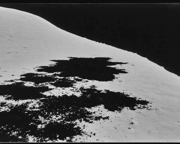 Monochrome Photograph of a Snowy Winter Landscape