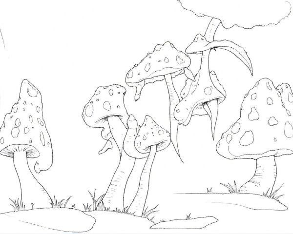 Whimsical Forest Scene with Diverse Mushrooms