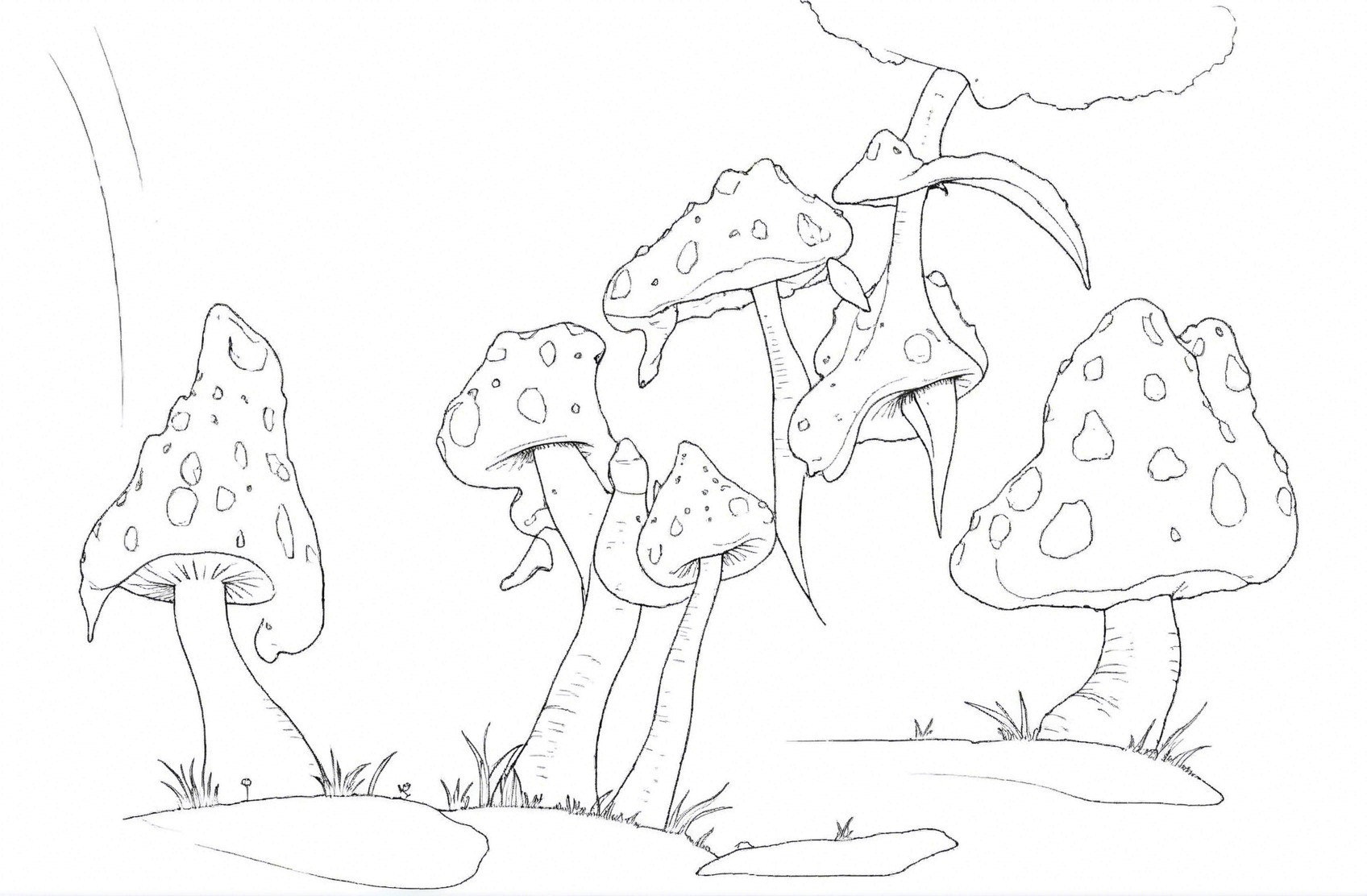 Whimsical Forest Scene with Diverse Mushrooms