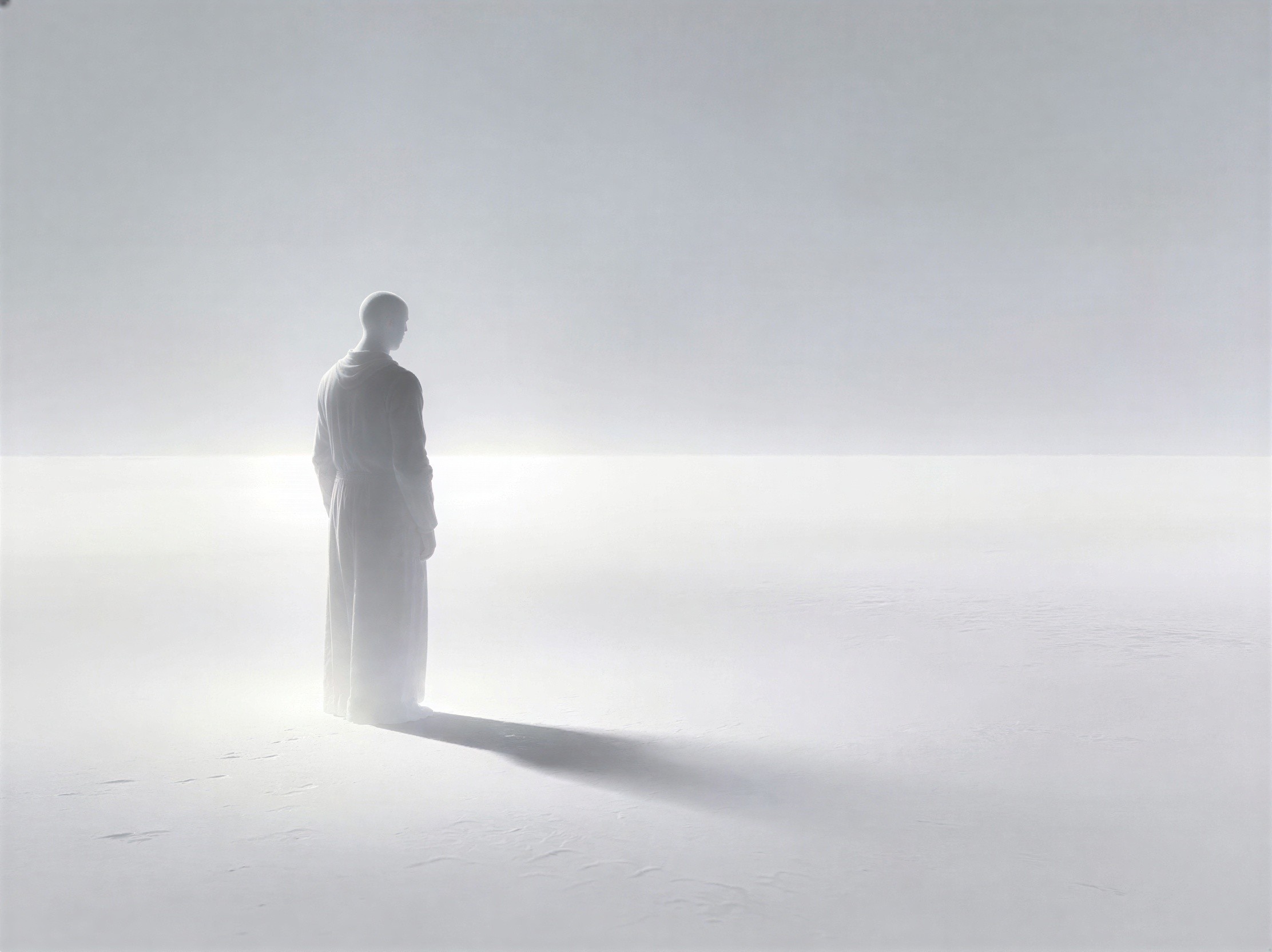Solitary Figure in Expansive White Landscape