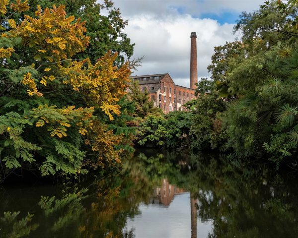 Lush River Scene with Autumn-Foliaged Trees