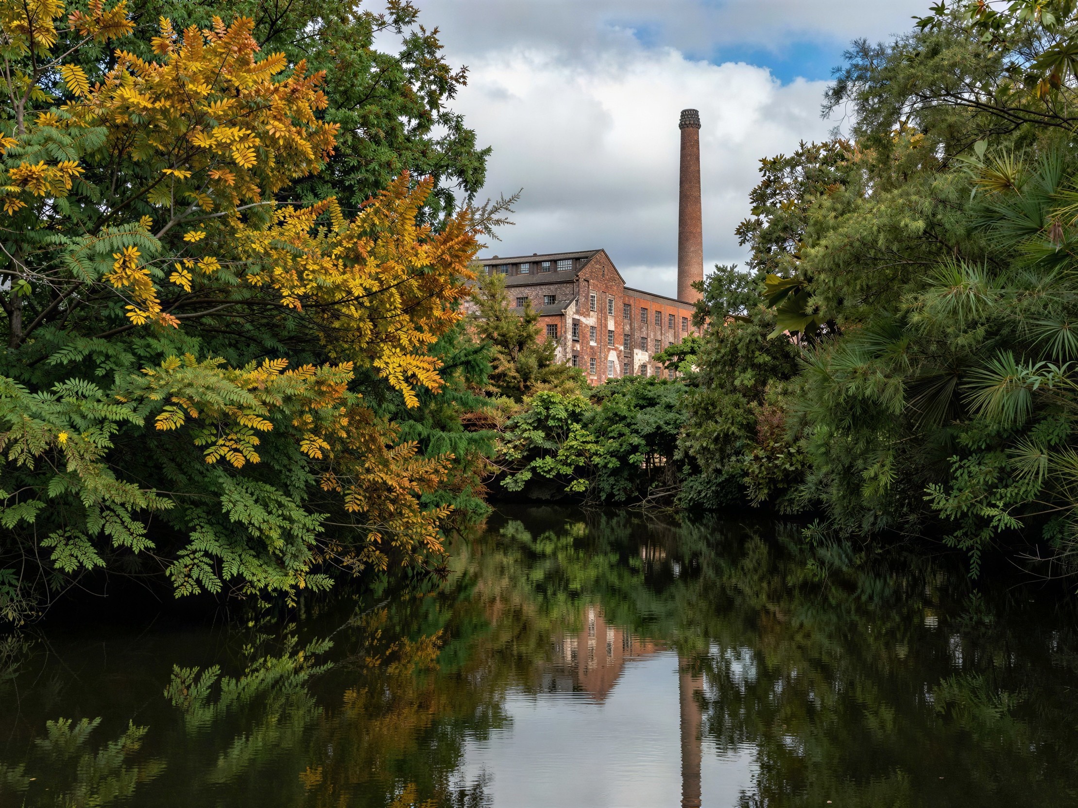 Lush River Scene with Autumn-Foliaged Trees