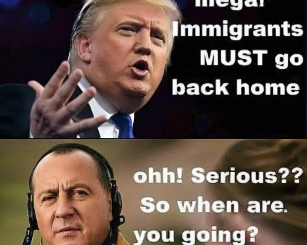 Split-panel commentary on illegal immigration debate
