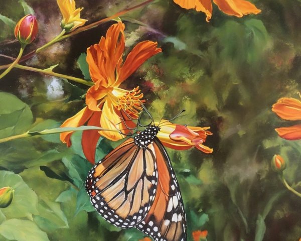 Monarch Butterfly on Orange Flowers in Lush Garden