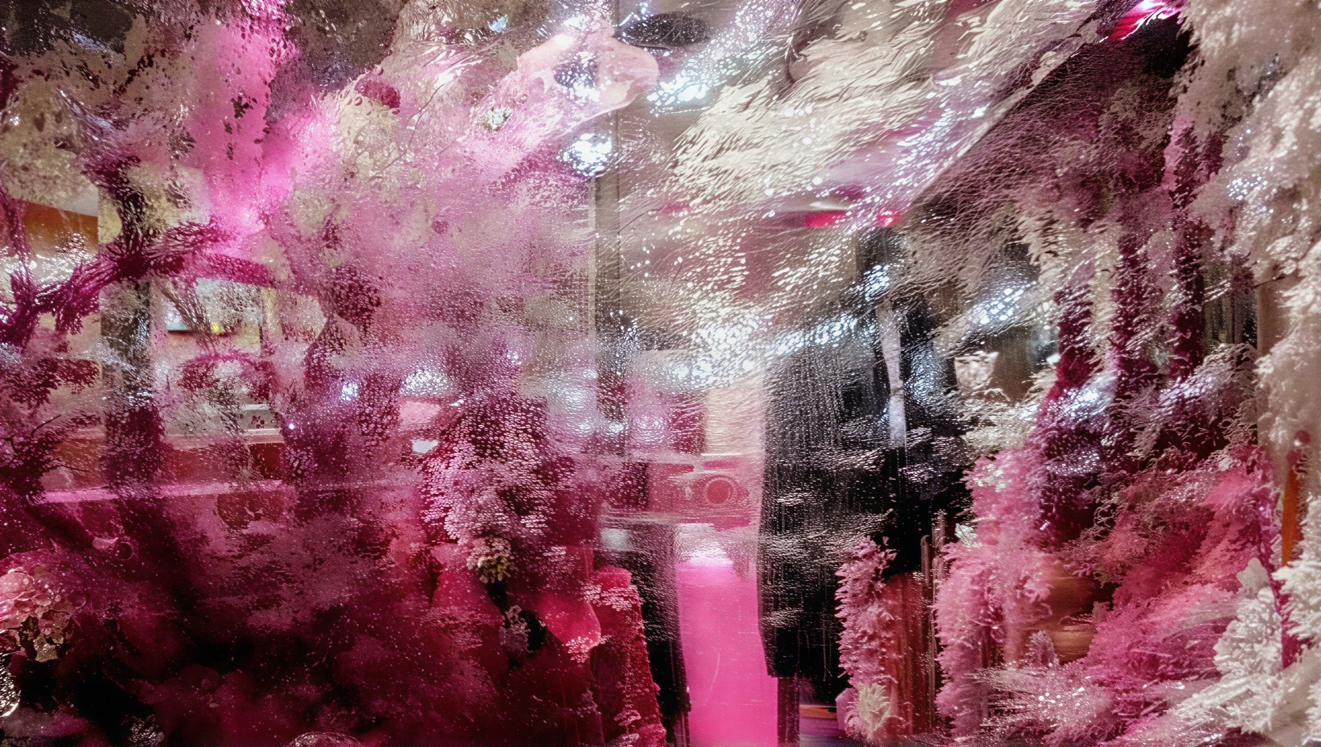 Dreamy Interior with Pink Coral-Like Textures