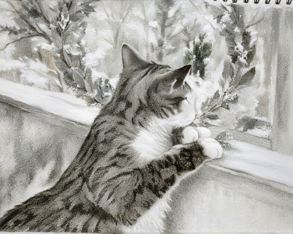 Tabby Cat on Windowsill Observing Snowy Landscape