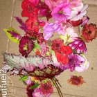 Colorful Bouquet of Gerberas, Zinnias, and Chrysanthemums