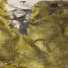 Abstract Acrylic Painting of a Black Crow on Yellow Background