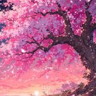 Cherry Blossom Tree Against Sunset Sky and Hills
