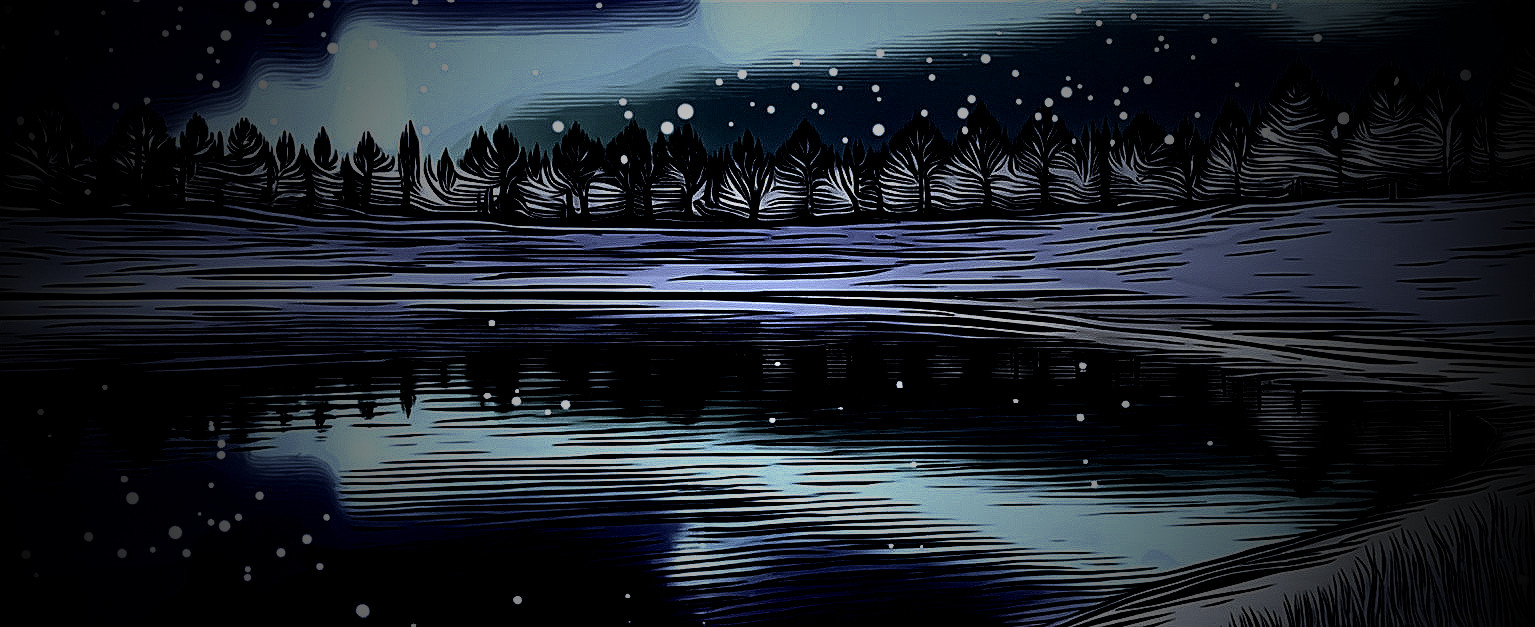 Serene Nighttime Lake Scene with Pine Tree Silhouettes