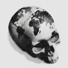 Intricate Black and White Decorative Skull Design