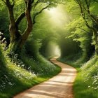 Vintage Car on Winding Road Surrounded by Trees