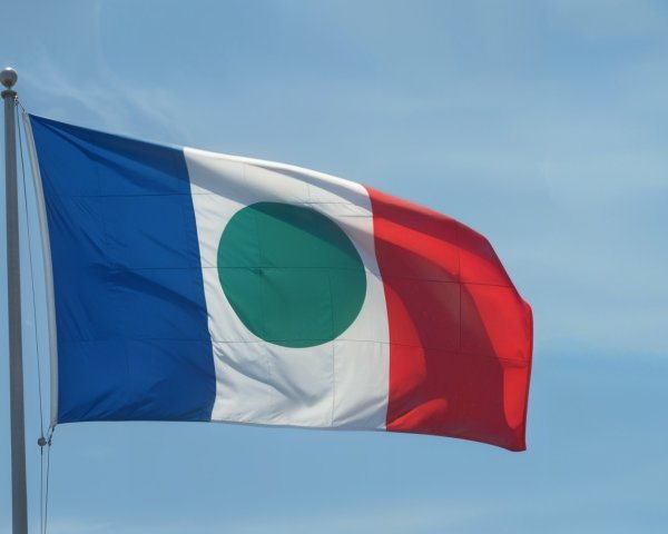 Flag with Blue, White, Red Stripes and Green Circle