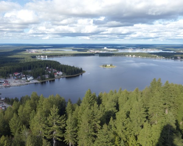 Aerial View of a Lake Surrounded by Forests and Village