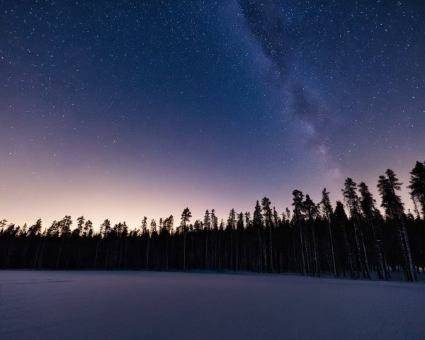 Serene Winter Landscape with Starry Night Sky