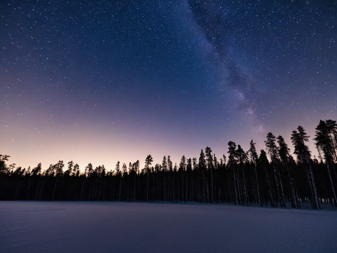 Serene Winter Landscape with Starry Night Sky