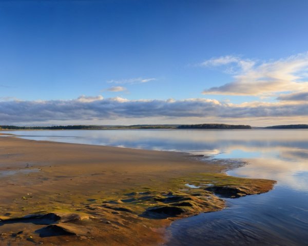 Serene Landscape with Calm Lake and Autumn Foliage