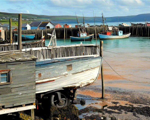Tranquil Harbor Scene with Vibrant Fishing Boats