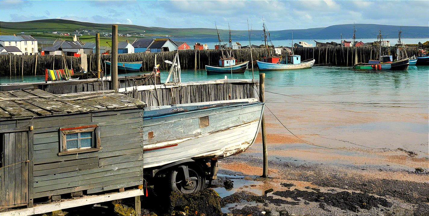 Tranquil Harbor Scene with Vibrant Fishing Boats