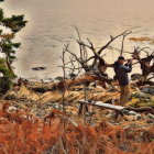 Solitary Figure in Autumn Landscape with Gnarled Trees