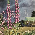 Vibrant Foxglove Flowers in Rustic Landscape Scene