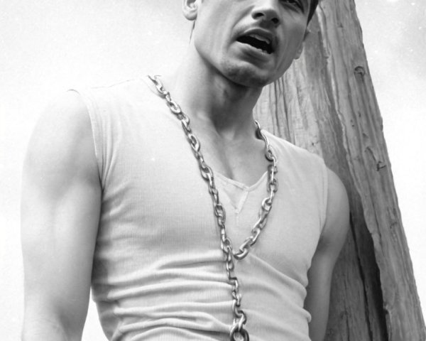 Muscular Man in Chains Against Wooden Post in Monochrome