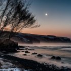 Twilight Coastal Landscape with Tree and Moon