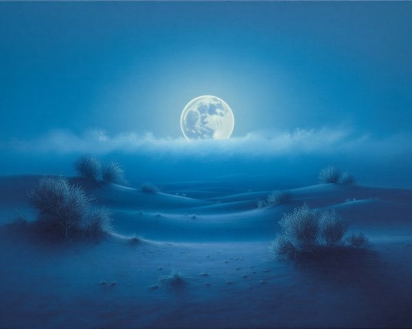 Moonlit Landscape with Rolling Dunes and Vegetation