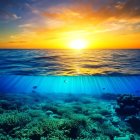Vibrant Sunset and Serene Underwater Landscape